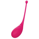 Adrien Lastic Palpitation Vibrating Egg App Control Pink Vibrator Sex Toy