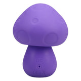 Doc Johnson Mochi Mushroom Vibe Purple Silicone Rechargeable Mini Vibrator Discreet Fun Sex Toy