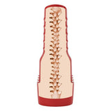 Evie Akashiya Sho Akuma Fantasy Fleshlight Masturbator Stroker Sex Toy