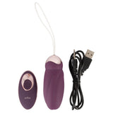 Javida Rotating Love Ball Remote Control Egg Vibrator Kegel Training Sex Toy