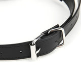 Lux Fetish Breathable Ball Gag with Adjustable Pressure Nipple Clamps Chain Bondage Play