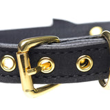 Master Series Golden Kitty Cat Bell Collar Black Bow Tie Kinky Fetish