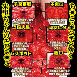 NPG Meiki File No.002 Akari Mitani Onahole Realistic JAV Porn Star Pussy Masturbator Japan Sex Toy