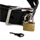 Ouch! Xtreme Open Mouth Gag Head Harness Plug Stopper Bondage Fetish BDSM Play