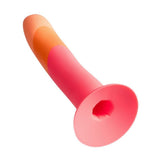 Romp Dizi Non-Realistic Dildo Sunset Silicone Suction G-Spot Sex Toy