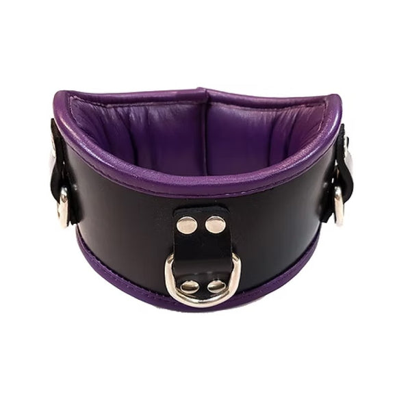 Rouge Garments Purple Black Leather Trim Padded D-Ring Posture Collar Bondage Gear BDSM Wear