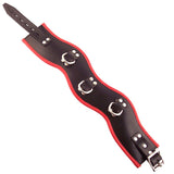 Rouge Garments Red Black Leather Trim Padded D-Ring Posture Collar Bondage Gear BDSM Wear