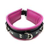 Rouge Garments Pink Black Leather Trim Padded D-Ring Collar Bondage Gear BDSM Fetish Wear