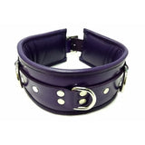 Rouge Garments Purple Black Leather Trim Padded D-Ring Collar Bondage Gear BDSM Fetish Wear