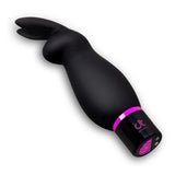 Dream Toys Sex Room Raunchy Kit Rabbit Vibrator Couples Sensory Fetish Erotic Gift Starter Sex Toy Set