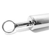 Stainless Steel Ice Lock