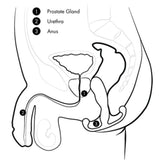 Aneros Helix Trident Prostate Perineum Massager Male G-Spot Anal Plug Sex Toy
