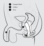 Aneros Progasm Jr Prostate Perineum Massager Male G-Spot Anal Plug Sex Toy