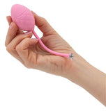 BMS Factory Pillow Talk Frisky Luxurious Pleasure Balls Swarovski Crystal Kegel Training Set