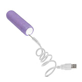 Gaia Eco Friendly Rechargeable Bullet Purple Mini Biodegradable USB Vibrator Sex Toy