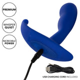 CalExotics Admiral Advanced Curved Anal Probe Blue Butt Plug 10 Speed USB Vibrator Sex Toy