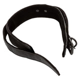 CalExotics Boundless Collar & Leash Fetish Play Detachable Chain Lead Restraint