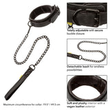 CalExotics Boundless Collar & Leash Fetish Play Detachable Chain Lead Restraint
