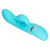 CalExotics Foreplay Frenzy Teaser G-Spot Bunny Vibrator Waterproof Blue Clitoral Dolphin Fun Sex Toy
