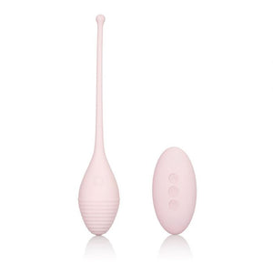Inspire Vibrating Remote Control Kegel Exerciser Egg Pelvic Floor Muscle Training