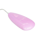 CalExotics Pocket Exotics Waterproof Double Silver Bullets 2 Speed Twin Egg Mini Massager Vibrator Sex Toy