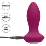 CalExotics Power Gem Vibrating Petite Crystal Probe Butt Plug Anal Vibrator USB Sex Toy
