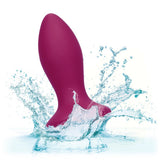 CalExotics Power Gem Vibrating Petite Crystal Probe Butt Plug Anal Vibrator USB Sex Toy