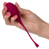 CalExotics Tighten & Tone Kegel Training 5 Piece Set Pelvic Floor Muscle Weight Exercise Kit