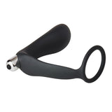 Dream Toys FantASStic Anal Plug with Cock Ring Butt Prostate Vibrator Probe Penis Erection Enhancer Sex Toy