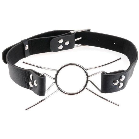 Fetish Fantasy Extreme Spider Gag Steel Ring Mouth Vice BDSM Bondage