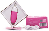 Magic Motion Vini Love Egg Vibrator Smart App Control USB Outdoor Fun Sex Toy