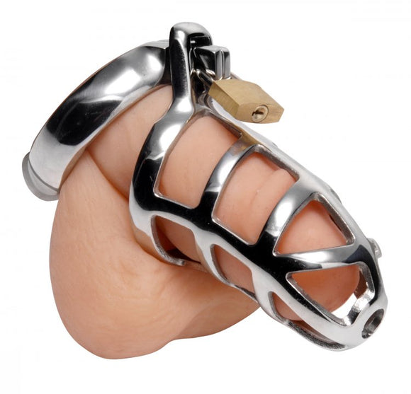 Master Series Male Chastity Cock Cage Penis Bondage Device Lock Fetish BDSM