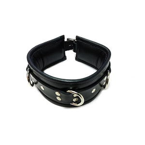 Black Leather Padded Collar