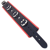 Black & Red Padded Collar