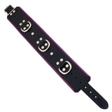 Black & Purple Padded Collar