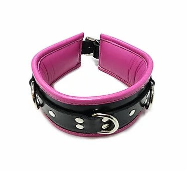 Black & Pink Padded Collar