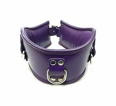 Purple Padded Posture Collar