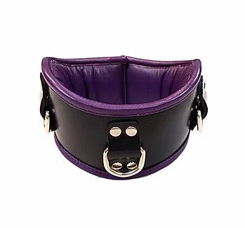 Black & Purple Padded Posture Collar