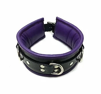 Black & Purple Padded Collar