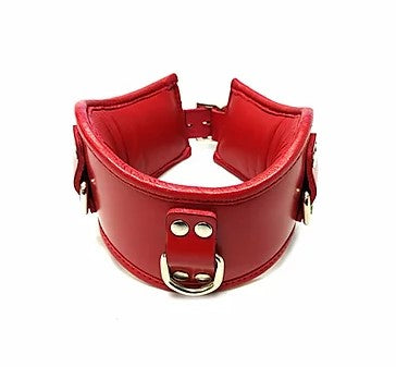 Red Padded Posture Collar