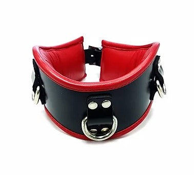 Black & Red Padded Posture Collar