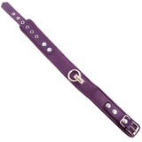 Rouge Purple Leather Metal O-Ring Collar Submissive Bondage Goth Slave BDSM