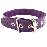 Rouge Purple Leather Metal Nut Stud Collar Cute Submissive Bondage Goth Slave BDSM