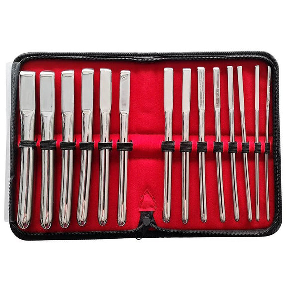 Rouge Hegar 14 Piece Uterine Dilator Set Urethral Sound Probe Kit