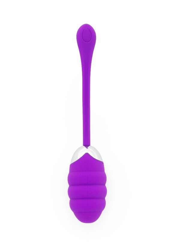 ToyJoy Sexentials Paradise Vibrating Purple Love Egg Multi Speed Arousal Orgasm Kegel USB Sex Toy
