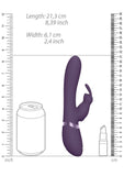 Vive Taka Automatic Inflatable Rabbit Vibrator Purple Triple Action Bunny USB Sex Toy
