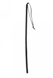 Leather Cane Whip