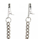 Nipple Clamps with Chain